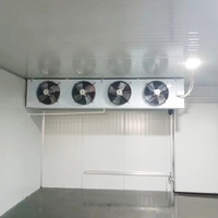 Unité de condensation à refroidissement par air Emerson Scroll R22 pour système de réfrigération industrielle avec évaporateur de congélateur rapide et refroidisseur