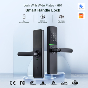 Liliwiise Wholesale Smart Digital Fingerprint <b>Lock</b> Biometric <b>Lock</b> Rfid Card Wifi App Tuya Ttlock Matter Smart Door <b>Lock</b> - Product Image 2
