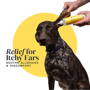 Gouttes de nettoyage des oreilles des acariens pour chiens, soulagement des démangeaisons et des démangeaisons avec logo personnalisé - Product Image 3