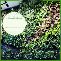 Panneaux muraux en buis artificiel DD2048 avec protection UV, décor en herbe synthétique, toile de fond végétale, panneaux muraux en herbe artificielle