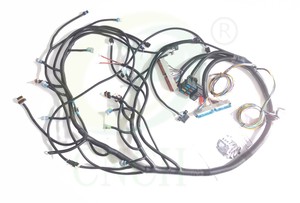 2006-2007 24X GEN IV LS2 6.0 W/T56 STANDALONE 엔진 배선 하니스 - Product Image 6