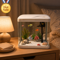 Aquarium de bureau minimaliste 5L avec couvercle, petit aquarium rectangulaire en verre pour poissons rouges, tortues, salon, maison d'animaux