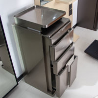 Armoire de rangement moderne en acier inoxydable pour salon, chariot roulant pour salon de coiffure, tiroirs, organisateur pour salon de barbier, équipement de beauté