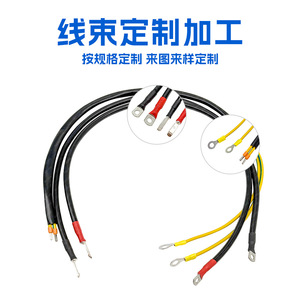 Pure Copper 2-Core Ring <b>Terminal</b> Wire For PLC Control Cabinet Signal Connection Grounding Cable - Product Image 3