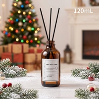 Diffuseur de parfum en verre à bâtonnets, senteur orange, petite production, parfum d'ambiance frais pour la maison, aromathérapie, assainisseur d'air, vente en gros