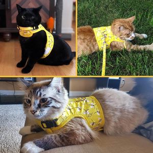Cross Border Best Selling <strong>cat</strong> <strong>Harness</strong> with Anti Pull Leash Breathable Pet Chest <strong>Harness</strong> - Product Image 5