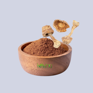 Натуральный грибной порошок 10%-50% полисахаридов, экстракт Agaricus Blazei Murrill, порошок экстракта Agaricus Brasiliensis - Product Image 1