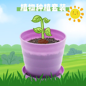Kit de culture de plantes, expérience scientifique éducative, ensemble d'apprentissage DIY pour les étudiants, projets scolaires, outil d'observation et d'enseignement - Product Image 5