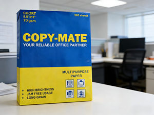 Papier Copie QDFLYING en Gros, 500 Ramettes, Format A4, 80-70 g/m², 100% Pâte de Bois Vierge, Grammage 75 g/m² pour Impression et <span class=keywords><strong>Photocopie</strong></span> - Product Image 1