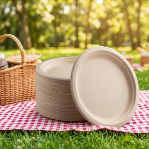 Assiettes rondes jetables de haute qualité de 8 pouces, légères et compatibles micro-ondes, fabriquées par le fabricant - Product Image 4