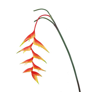 Fleur artificielle QIHAO en forme d'oiseau pleureur à longues branches, 132 cm, en plastique souple, haute simulation, pour décoration de mariage - Product Image 5