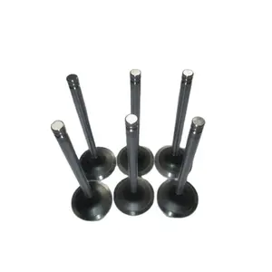 6D102 Engine Intake Valve And Exhaust Valve