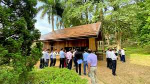 เรือนกระจกสำเร็จรูป CENVINEX รุ่น HN02 ขนาด 20 ฟุต 40 ฟุต สไตล์โมเดิร์นอินดัสเทรียลสุดหรู ผลิตจากไม้ซุง 100% เป็นมิตรกับสิ่งแวดล้อม  แบบกำหนดเองได้ - Product Image 5