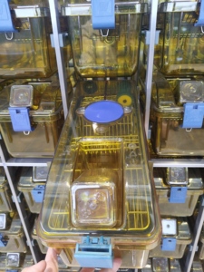 Laboratoire de haute qualité Cage ventilée individuelle Lab Ivc pour rongeur cobaye lapin - Product Image 3