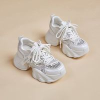 Chaussures de sport pour femmes à plateforme rehaussée, style Daddy, hiver, respirantes, polyvalentes, fines