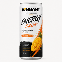 Boisson Énergisante Fruity Mojito Marque Blanche, Boisson Gazeuse Sportive Faible en Sucre, Bouteille 330ml, Faible en Glucides