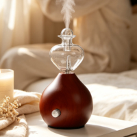 Diffuseurs d'arômes sans eau en bois et verre, silencieux, pour la maison et le spa