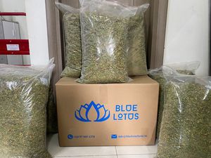 Vert Jaune Séché Mâle Papaye Fleurs Graines Pour Thé Herbes Vietnam + 84 767 550 132 - Product Image 6