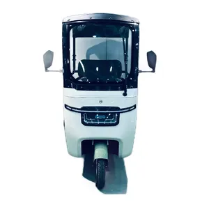Fabrik preis Hot Sale E Trike Dach Regenschutz Verfügbar Fracht Passagier Dual Use Elektro Dreiräder