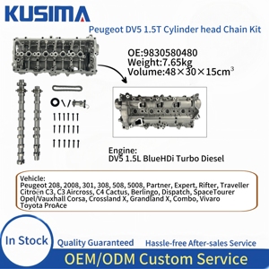 Tendicatena alloggiamento albero a camme 8mm 9830580480 per Peugeot Citroen Ford <span class=keywords><strong>Opel</strong></span> 1.5 HDI DV5R Catena di distribuzione testata 1697054780 - Product Image 2