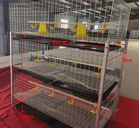 Nouveau cages à volaille d'éleveur automatique en acier galvanisé à chaud couche poulets caille conception verticale à trois couches ferme longue durée de service