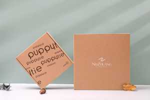 Thân Thiện Với Môi Bưu Chính Giấy Bao Bì Các Tông Biểu Tượng Tùy Chỉnh In Màu Hồng Kraft Hộp Bưu Phẩm Cho Vận Chuyển & Đóng Gói - Product Image 6