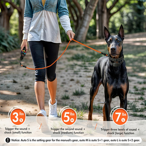 <span class=keywords><strong>Collar</strong></span> de Adiestramiento para Perros con Control Remoto, Resistente al Agua IP67, Recargable, Ajustable, con Control de Ladridos y Sonido Seguro - Product Image 3