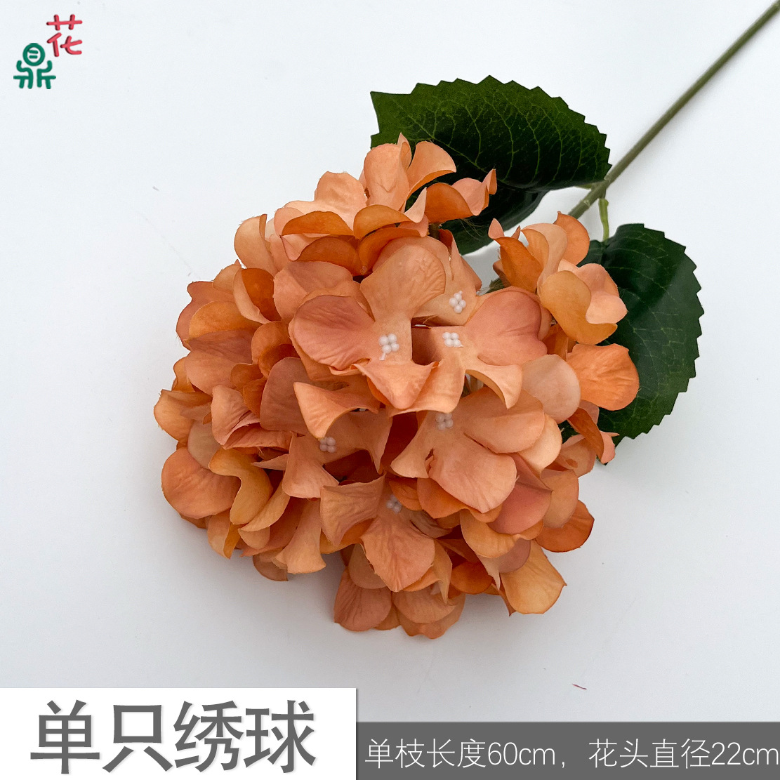 Single hydrangea xs autumn orange