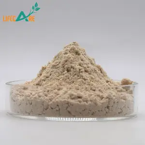 High Quality Sea Cucumber Powder Natural Sea Cucumber Powder