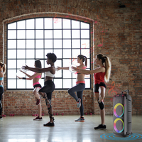 Altavoz Bluetooth Portátil para Karaoke de 8 Pulgadas con Micrófono, Fabricante Chino