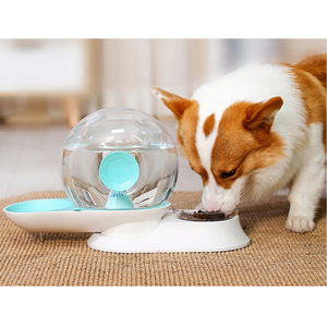 Dougez grandes <span class=keywords><strong>mascotas</strong></span> dispensador <span class=keywords><strong>de</strong></span> agua 2.8L fuente <span class=keywords><strong>de</strong></span> agua autom&amp;aacute;tica Pet perro alimentador <span class=keywords><strong>de</strong></span> agua taz&amp;oacute;n <span class=keywords><strong>de</strong></span> - Product Image 1
