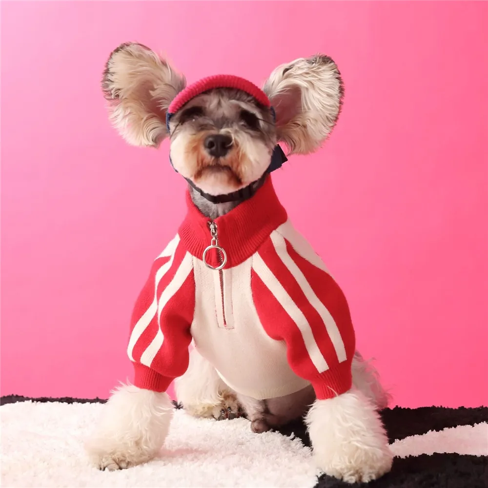 Roupas para Cachorro Outono E Inverno Novos Esportes Camisola Cardigan Masculino Teddy Bonito Pet Suit
