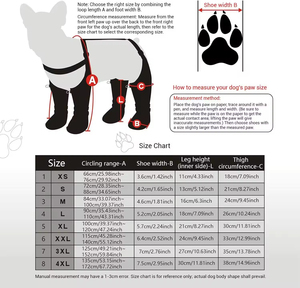 Botas Reflectantes Impermeables para Perros y Arnés con Tirantes para las Patas, Más Vendidas - Product Image 2