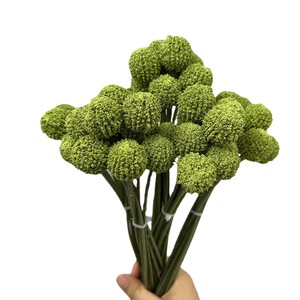 Bouquet décoratif réaliste de fruits dorés - Décoration de remise de diplôme, maison, bureau - Fleurs artificielles longues en plastique au design moderne - Plante artificielle - Product Image 5