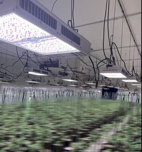 Lámpara de Cultivo LED de Espectro Completo 1930e 820W, Alto PPFD 400-700umol/m2, Regulable, Impermeable, para Plantas de Interior, <span class=keywords><strong>HPS</strong></span> - Product Image 4