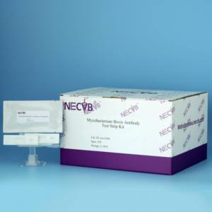 Bandelette de test d'anticorps Mycobacterium bovis Détection rapide de la tuberculose bovine | 50 tests/kit - Product Image 3