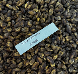 Eco Fresh Silkworm Nymphes Protéine d'insecte <span class=keywords><strong>Alimentation</strong></span> animale Mouche comestible - Product Image 2