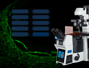 <span class=keywords><strong>Microscope</strong></span> <span class=keywords><strong>confocal</strong></span> <span class=keywords><strong>à</strong></span> <span class=keywords><strong>balayage</strong></span> <span class=keywords><strong>laser</strong></span> BestScope BCF-297A pour la biologie, la médecine, la sécurité alimentaire, avec un rapport signal/bruit élevé et un <span class=keywords><strong>balayage</strong></span> haute vitesse - Product Image 2