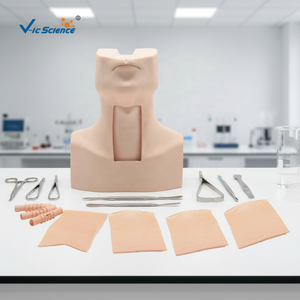 Modelo Avanzado de Entrenamiento para Punción Cricotiroidea e Intubación de Traqueotomía - Modelo Anatómico de Ciencia Médica de Silicona/PVC - Product Image 5
