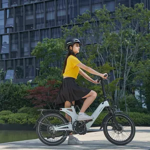 Bicicleta elétrica ZOOM suspensão garfo dianteiro elétrica ebike e bicicleta bateria removível