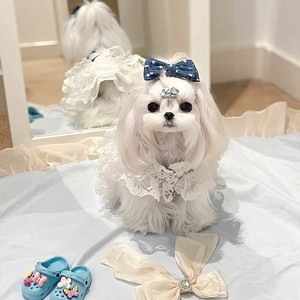 Robe Lolita de luxe respirante et légère pour chien, jupe tutu de princesse en dentelle florale jaune pour Halloween, nœud bleu, style pastoral français - Product Image 3