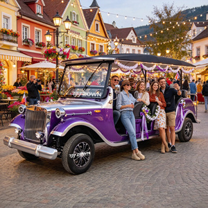 Chargeur portable ZOWN écologique pour voitures électriques classiques rétro, idéal pour les opérations en extérieur dans les attractions touristiques - Product Image 1