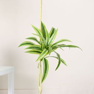 Plante Artificielle Décorative Dream Castle en Fer, 1,5m, 1,8m, 2,1m, pour Décoration Intérieure sur Pied, Idéale pour Salon et Centre Commercial - Product Image 3