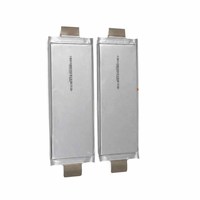 Batterie polymère au lithium semi-solide Farasis P70A 70Ah en format pochette, 3,7 V, cellule NCM haute densité pour scooter, pack d'alimentation pour camping-car