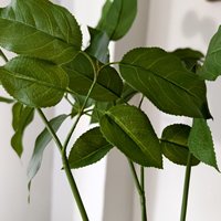 Feuillage Artificiel Effet Naturel en Latex : Feuilles de Salal et Ruscus Italien pour Décoration Mariage et Maison