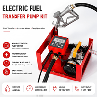 Pompe de transfert de carburant diesel 220V AC avec débitmètre et buse 60L/min 550W pour distributeur de carburant mobile