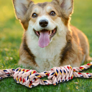 Pamuk köpek oyuncaklar çiğneme ve taşlama diş dayanıklı orta büyük laboratuarlar yavru oyuncak dekorasyon için Boredom rahatlatmak - Product Image 2