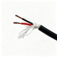 Cable Eléctrico Impermeable Paide PDK81301 de 2 Núcleos, 18AWG, Cobre Desnudo, Aislamiento de PVC, Cubierta de TPU, Negro, para Equipos Subacuáticos