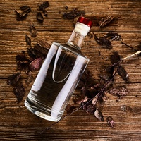 Botol Anggur Kaca Mewah Berkualitas Tinggi 700ml dan 750ml dengan Tutup T-cork Bentuk Bulat untuk Whisky Vodka Tequila Bening