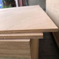 Offre Spéciale contreplaqué construction contreplaqué de bouleau/osb/peuplier/pin/cdx/uv bouleau/bois contreplaqué planches de bois stratifié